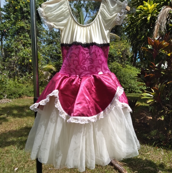 Renaissance Costume Pink Maroon Cream Dress Tulle Ruffle - Picture 7 of 11